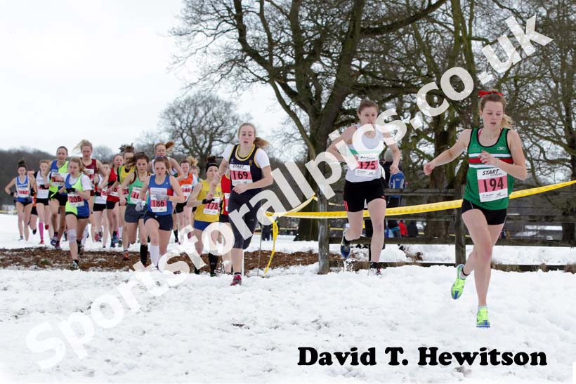 Georgia Taylor-Brown (Sale) leads soon after the start of the junior womens Northern Cross Country Championships.